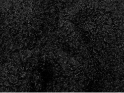 3089_black_2