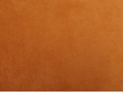 alc_dark_camel
