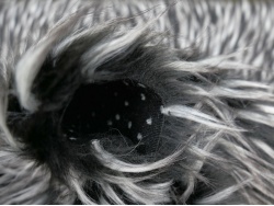 grey_black_4