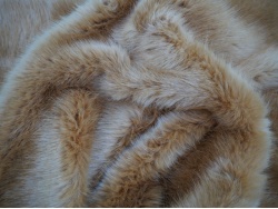 lion_mink_2