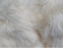 new_cream_mongolian_2a