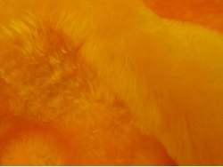 p800_gold_2