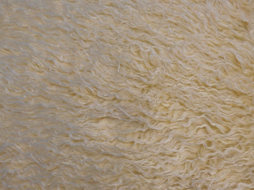 13593_yellowwhite_1