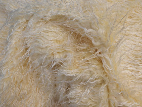 13593_yellowwhite_2