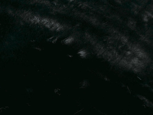 3901_black_1