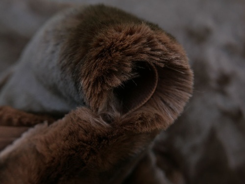 3901_brown_tipped_1_4
