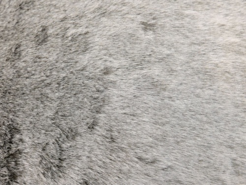 490411a_1