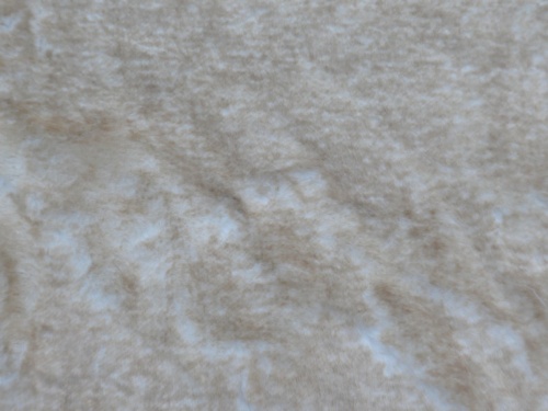 alaskan_hare_1
