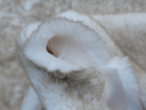 alaskan_hare_4