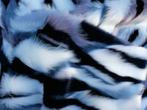 arlequin_2