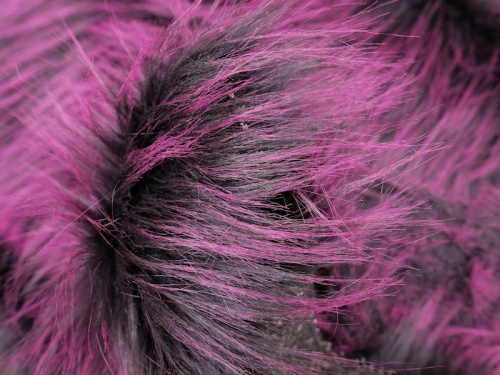 emp_violetblack_4