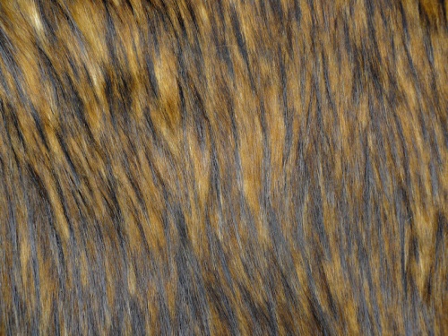 golden_tam_1