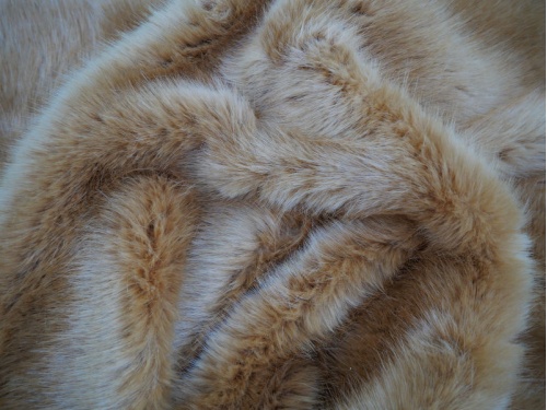 lion_mink_2