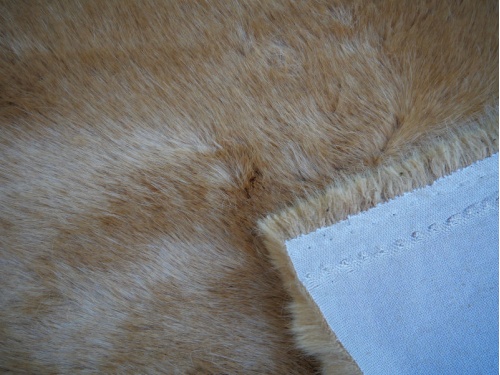 lion_mink_3