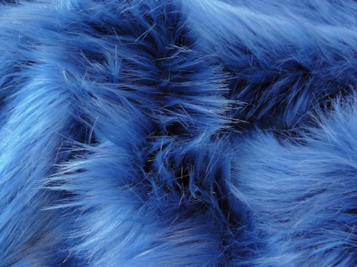 navy_shag2