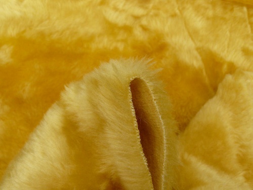 p800_teddygold_3