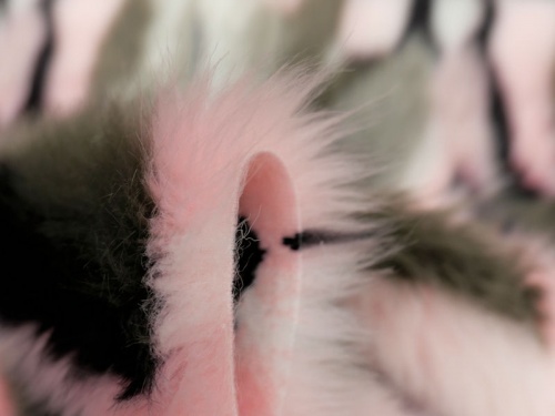 pink_black_4