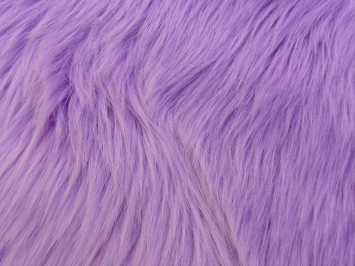 sha_lilac_1
