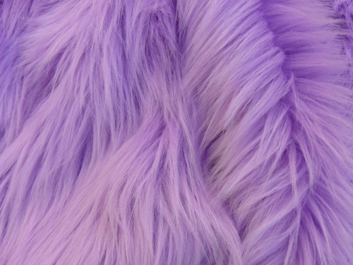 sha_lilac_2