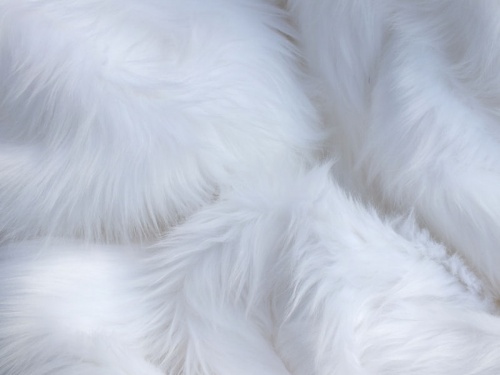 White Luxury 60mm Shag Pile
